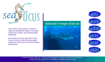 SeaFocus Website